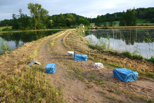 windfelder am see 2